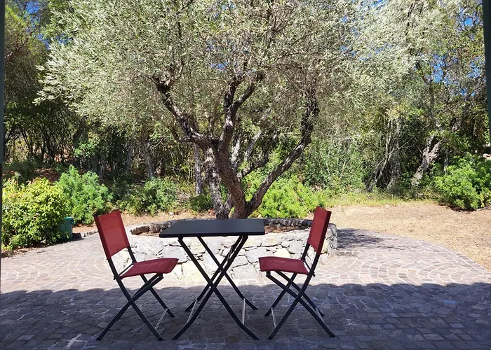 La Romeo, Piscine Et Apartament